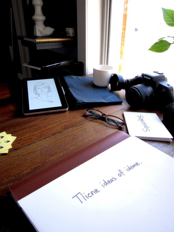 niche exploration and profiling